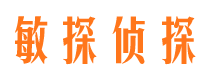 新干市调查公司